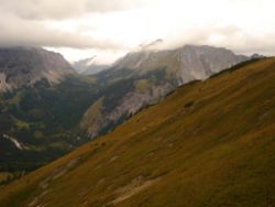 2013-09-08_6Falkenh-Steinfalk (303).JPG